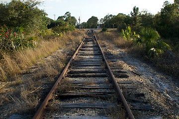 Image showing Railroad tracks in florida