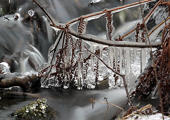 Image showing Winter ice