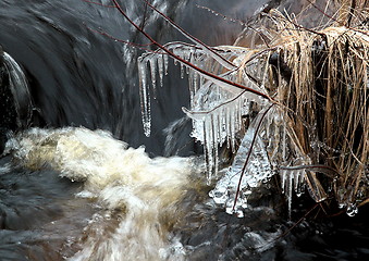 Image showing Winter ice