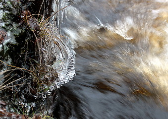 Image showing Winter ice