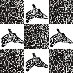 Image showing Giraffe patterns for textiles and wallpaper