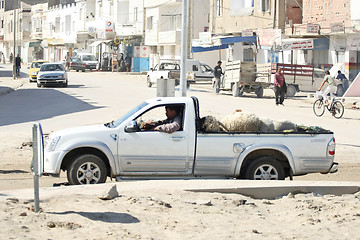 Image showing Sheep in a pick up truck