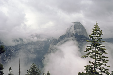 Image showing Yosemite National Park