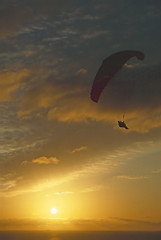 Image showing Glider