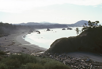 Image showing Coast of Oregon