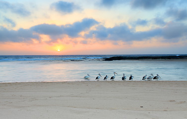 Image showing Sunrise at The Entrance North,  Australia