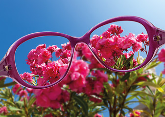 Image showing View from reading eyeglasses on beautiful nature view