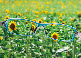 Image showing View from reading eyeglasses on beautiful nature view