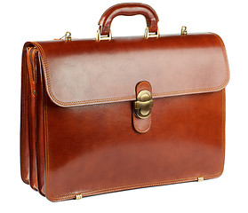 Image showing Ginger Briefcase