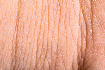 Image showing Close up human skin. Macro epidermis 