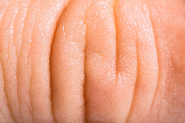 Image showing Close up human skin. Macro epidermis 