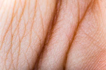 Image showing Close up human skin. Macro epidermis 