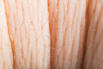 Image showing Close up human skin. Macro epidermis 