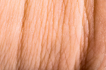 Image showing Close up human skin. Macro epidermis 