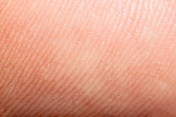 Image showing Close up human skin. Macro epidermis 