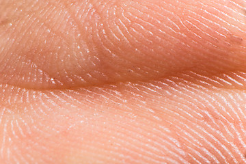 Image showing Close up human skin. Macro epidermis 