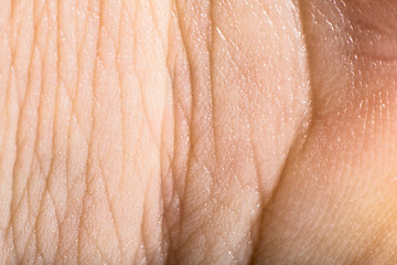 Image showing Close up human skin. Macro epidermis 