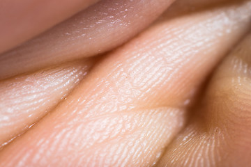 Image showing Close up human skin. Macro epidermis 