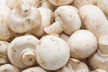 Image showing Champignon mushrooms