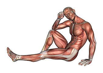 Image showing Male Anatomy Figure 