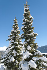 Image showing Winter in St Moritz