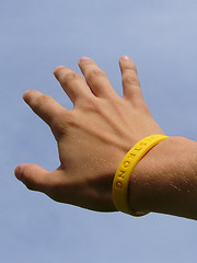 Image showing Livestrong