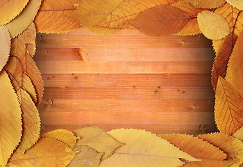 Image showing fall backdrop foliage frame