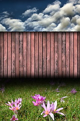 Image showing backdrop with wild flowers and fence