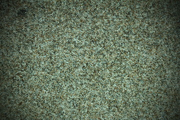 Image showing green carpet texture