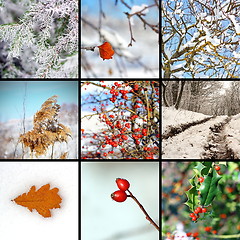 Image showing collage with winter images