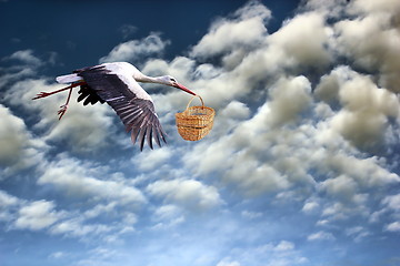 Image showing stork bringing baby in basket