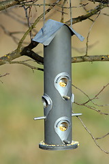 Image showing seed feeder for wild birds