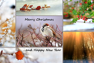 Image showing winter greeting card