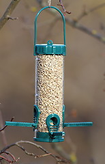 Image showing bird feeder full of seeds