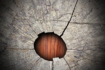 Image showing heart of a tree stump