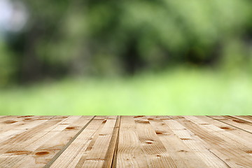 Image showing green natural backdrop