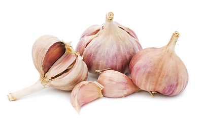 Image showing Garlic