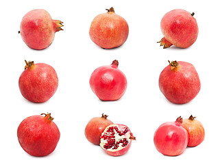 Image showing Pomegranates