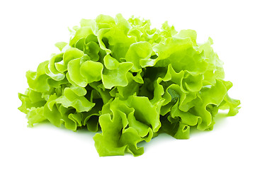 Image showing Lettuce