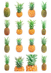 Image showing Pineapple