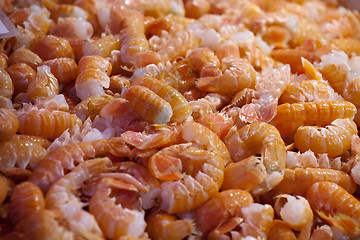 Image showing prawns