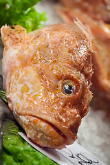 Image showing fresh raw fish