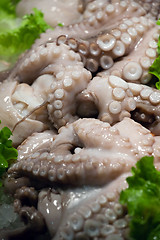 Image showing octopus