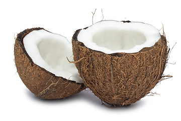 Image showing Coconut