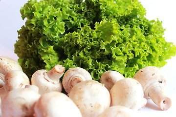 Image showing agaric and lettuce ready for the cooking