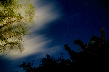 Image showing glowing bamboo night sky with clouds and stars