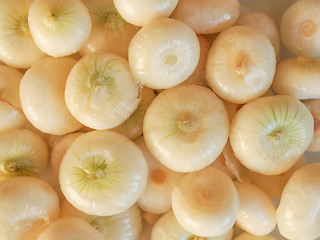 Image showing Onions