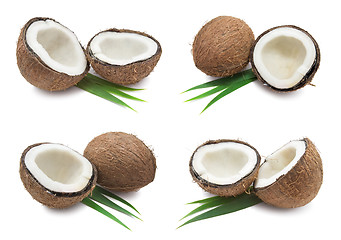 Image showing Coconuts