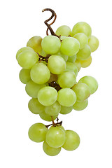 Image showing Grapes