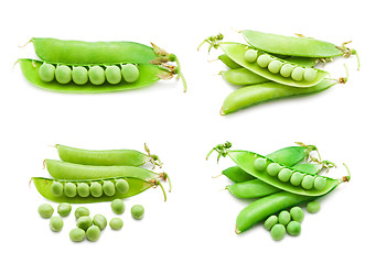 Image showing Pea